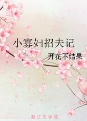 小寡妇招夫记